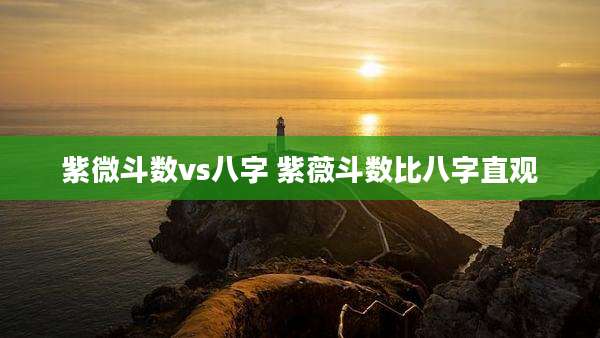 紫微斗数vs八字 紫薇斗数比八字直观