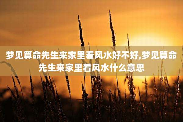 梦见算命先生来家里看风水好不好,梦见算命先生来家里看风水什么意思