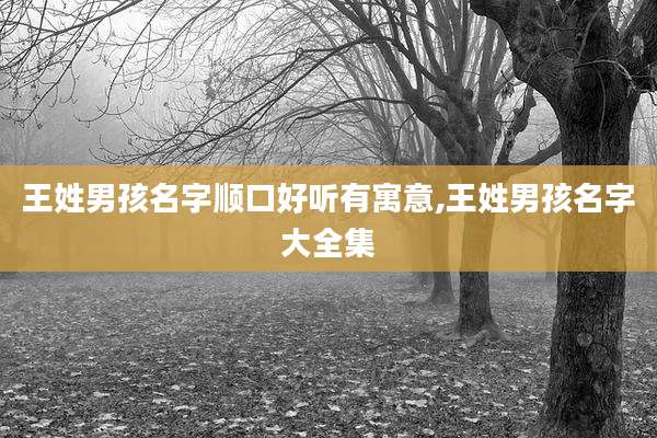 王姓男孩名字顺口好听有寓意,王姓男孩名字大全集