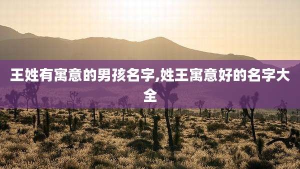 王姓有寓意的男孩名字,姓王寓意好的名字大全
