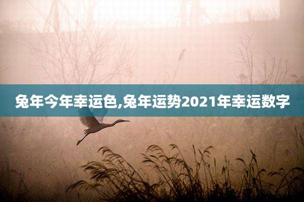 兔年今年幸运色,兔年运势2021年幸运数字