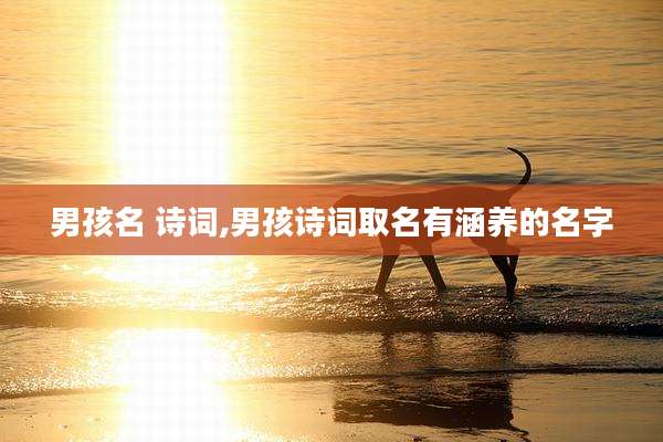 男孩名 诗词,男孩诗词取名有涵养的名字