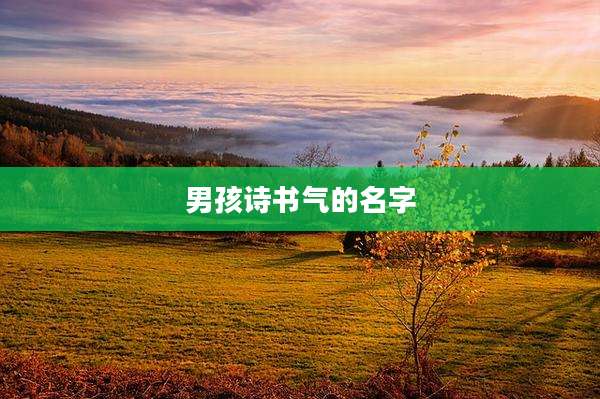 男孩诗书气的名字