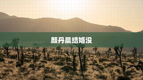 颜丹晨结婚没