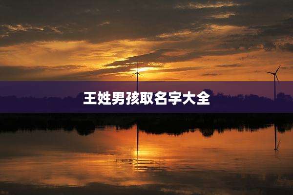 王姓男孩取名字大全