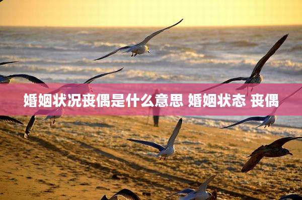 婚姻状况丧偶是什么意思 婚姻状态 丧偶
