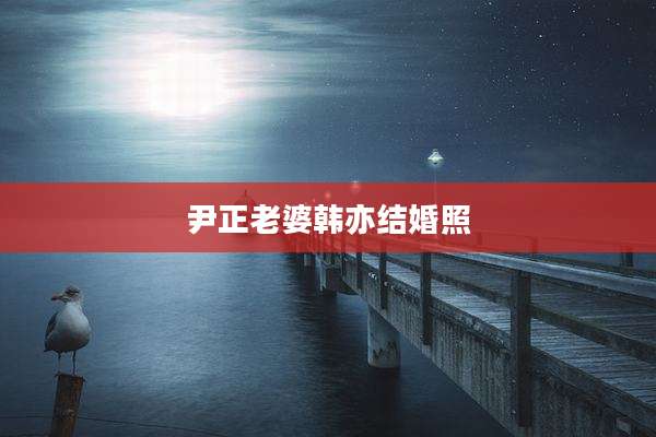尹正老婆韩亦结婚照