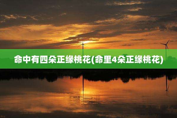 命中有四朵正缘桃花(命里4朵正缘桃花)