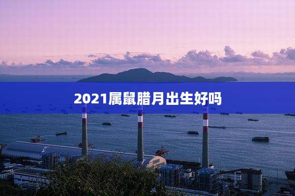 2021属鼠腊月出生好吗