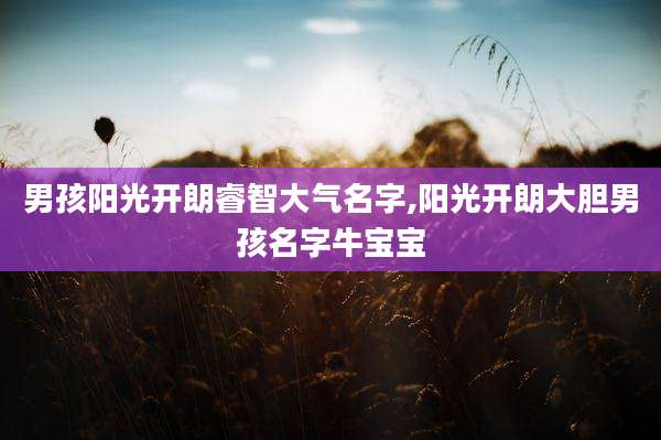 男孩阳光开朗睿智大气名字,阳光开朗大胆男孩名字牛宝宝