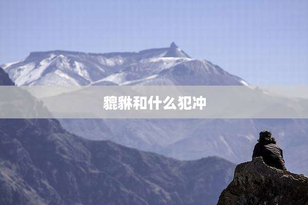 貔貅和什么犯冲