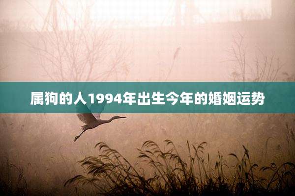属狗的人1994年出生今年的婚姻运势