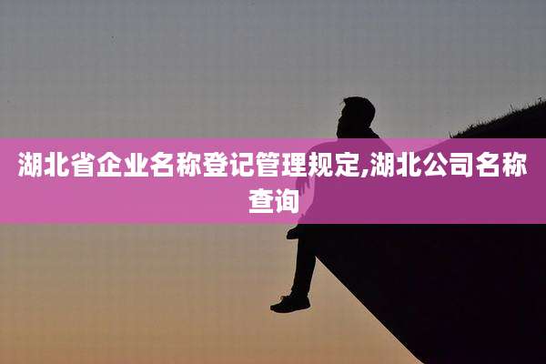 湖北省企业名称登记管理规定,湖北公司名称查询