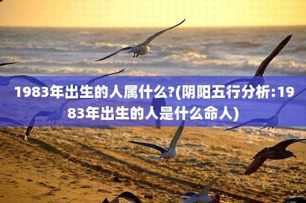 1983年出生的人属什么?(阴阳五行分析:1983年出生的人是什么命人)
