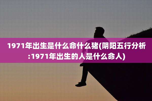 1971年出生是什么命什么猪(阴阳五行分析:1971年出生的人是什么命人)