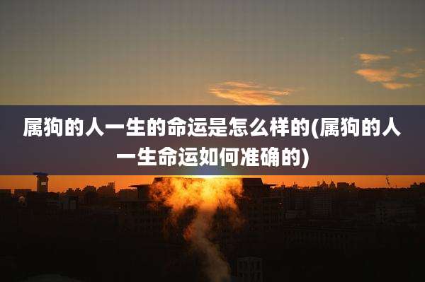 属狗的人一生的命运是怎么样的(属狗的人一生命运如何准确的)