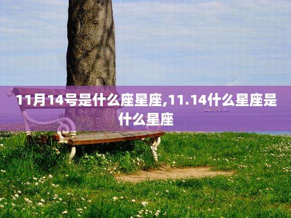 11月14号是什么座星座,11.14什么星座是什么星座