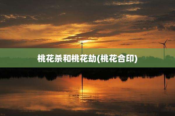 桃花杀和桃花劫(桃花合印)