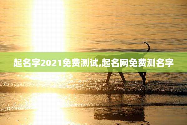 起名字2021免费测试,起名网免费测名字