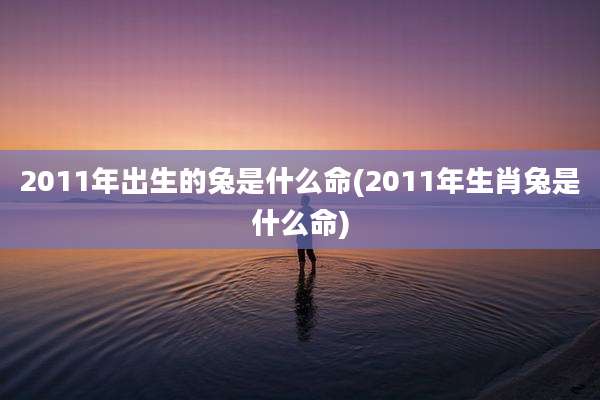 2011年出生的兔是什么命(2011年生肖兔是什么命)