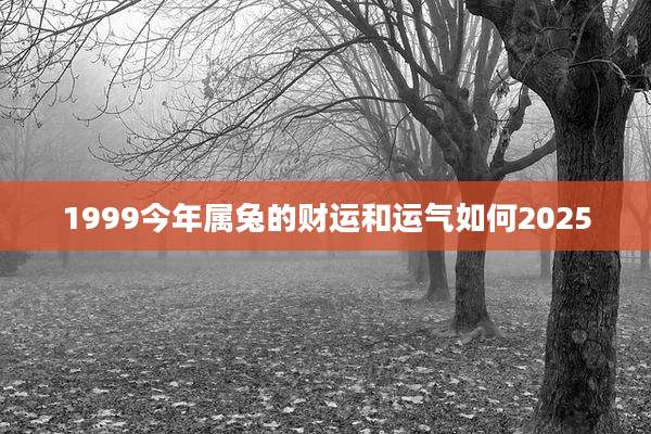 1999今年属兔的财运和运气如何2025