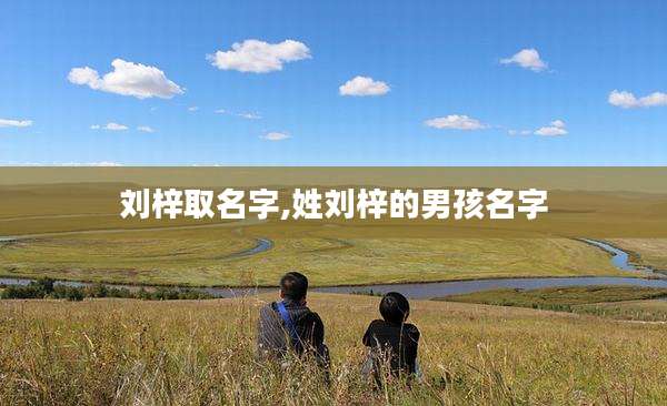 刘梓取名字,姓刘梓的男孩名字