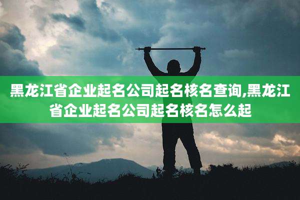 黑龙江省企业起名公司起名核名查询,黑龙江省企业起名公司起名核名怎么起
