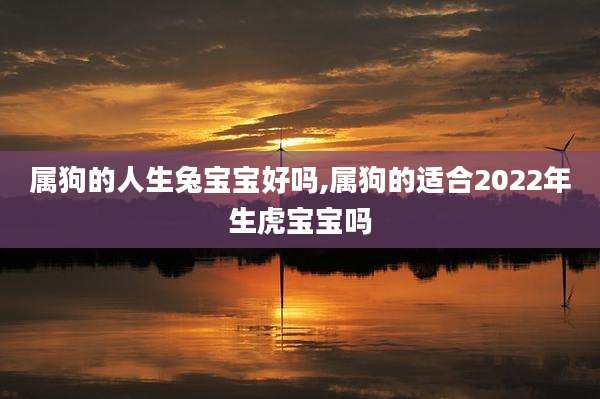 属狗的人生兔宝宝好吗,属狗的适合2022年生虎宝宝吗