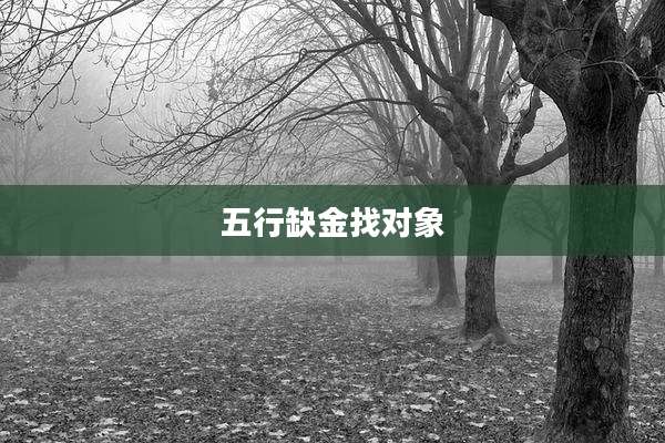 五行缺金找对象