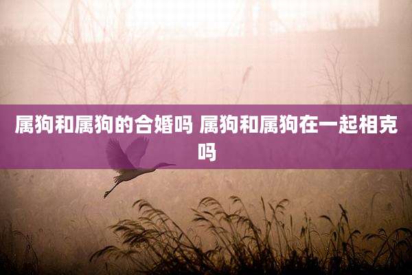 属狗和属狗的合婚吗 属狗和属狗在一起相克吗