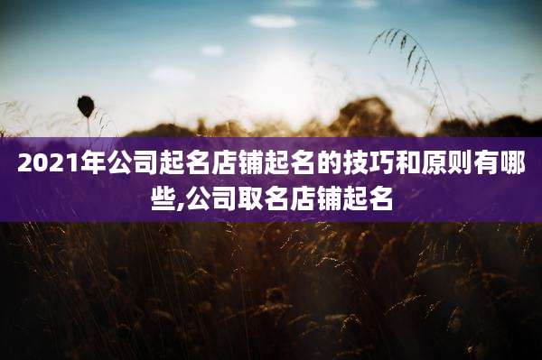 2021年公司起名店铺起名的技巧和原则有哪些,公司取名店铺起名