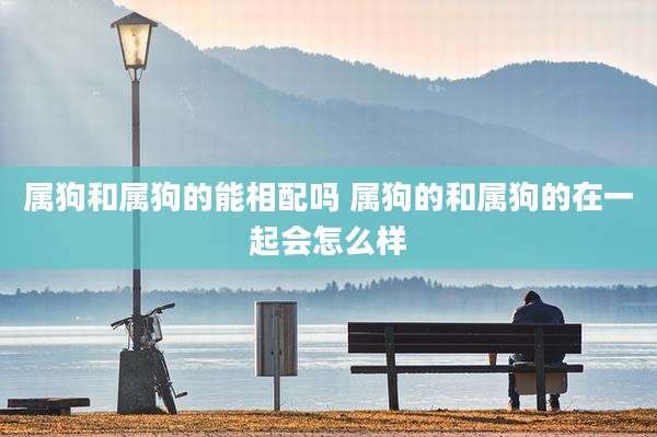 属狗和属狗的能相配吗 属狗的和属狗的在一起会怎么样
