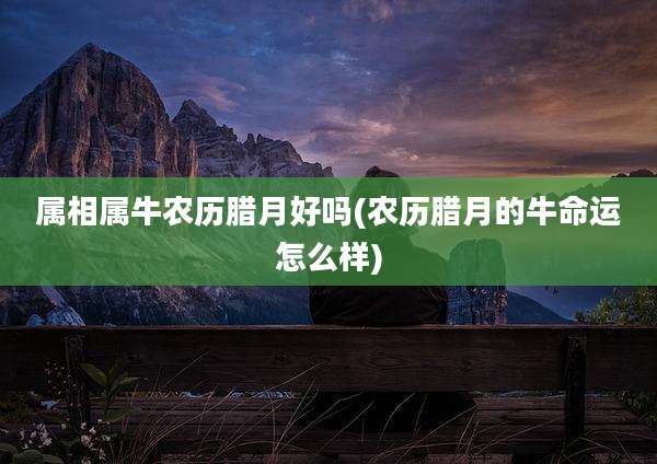 属相属牛农历腊月好吗(农历腊月的牛命运怎么样)