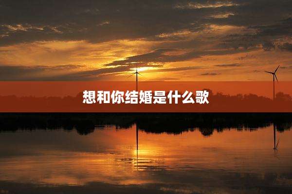 想和你结婚是什么歌