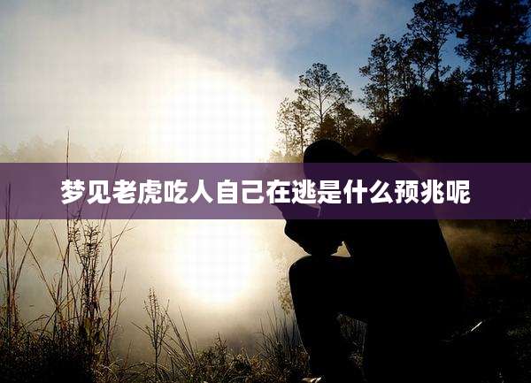 梦见老虎吃人自己在逃是什么预兆呢