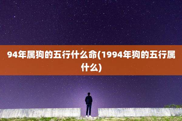 94年属狗的五行什么命(1994年狗的五行属什么)
