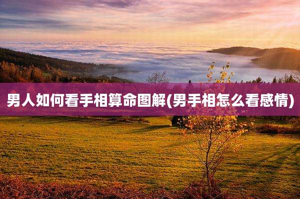 男人如何看手相算命图解(男手相怎么看感情)