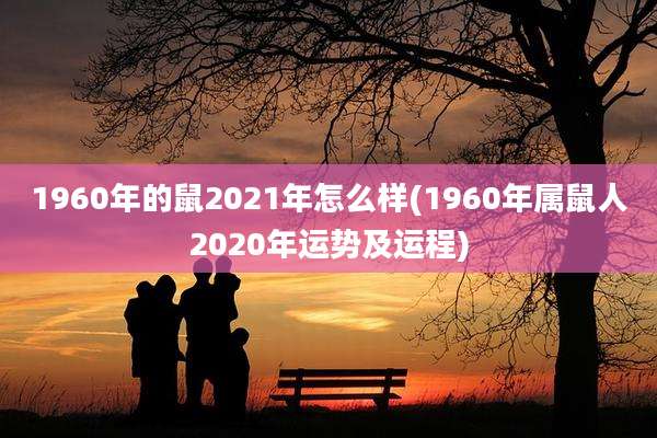1960年的鼠2021年怎么样(1960年属鼠人2020年运势及运程)