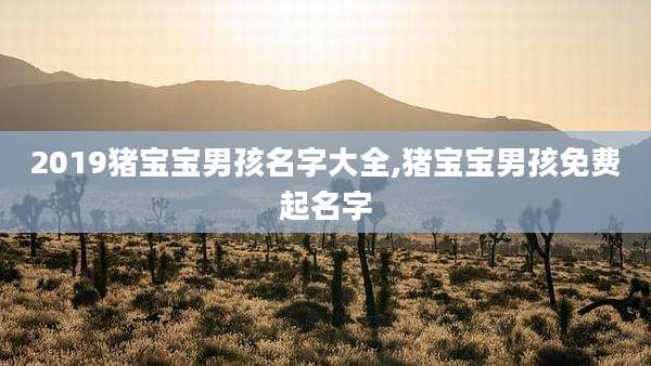 2019猪宝宝男孩名字大全,猪宝宝男孩免费起名字