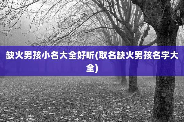 缺火男孩小名大全好听(取名缺火男孩名字大全)