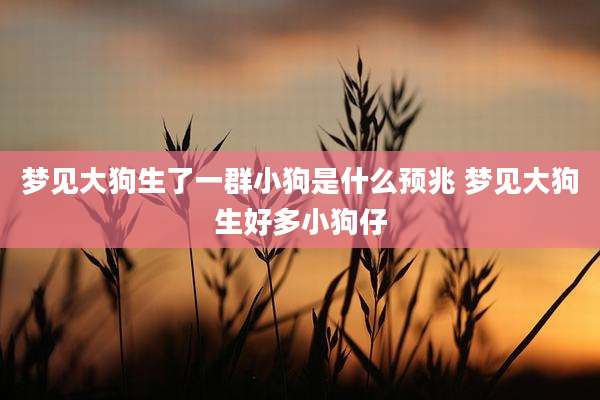梦见大狗生了一群小狗是什么预兆 梦见大狗生好多小狗仔