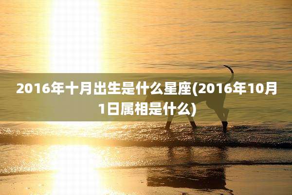 2016年十月出生是什么星座(2016年10月1日属相是什么)