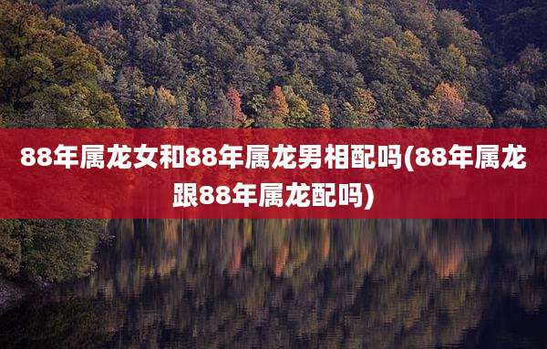 88年属龙女和88年属龙男相配吗(88年属龙跟88年属龙配吗)