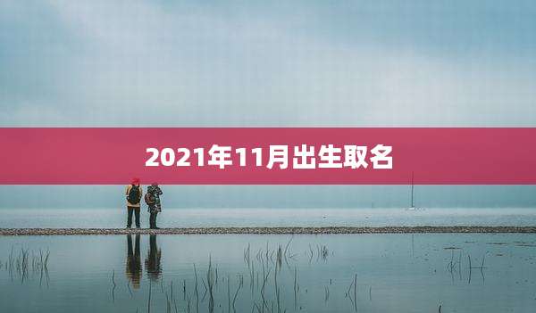2021年11月出生取名