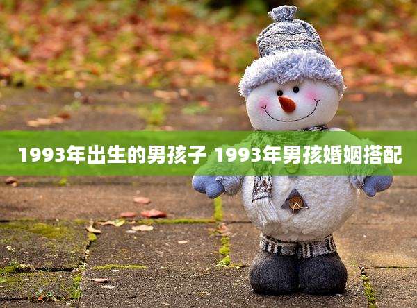 1993年出生的男孩子 1993年男孩婚姻搭配