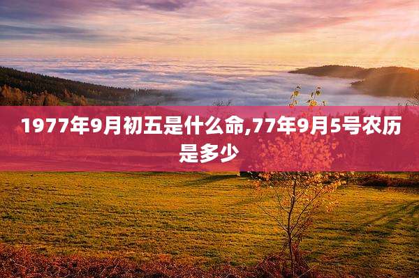 1977年9月初五是什么命,77年9月5号农历是多少