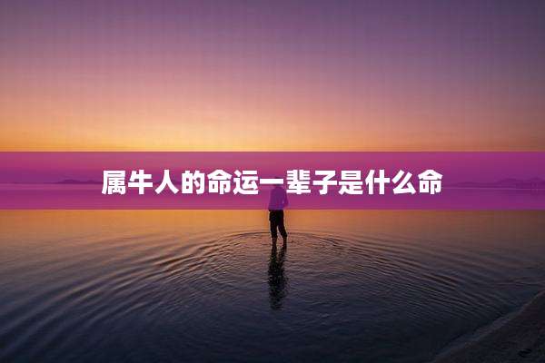 属牛人的命运一辈子是什么命