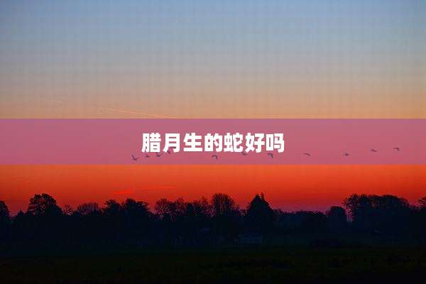腊月生的蛇好吗