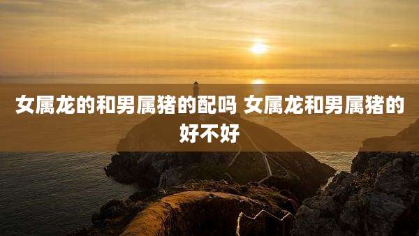 女属龙的和男属猪的配吗 女属龙和男属猪的好不好