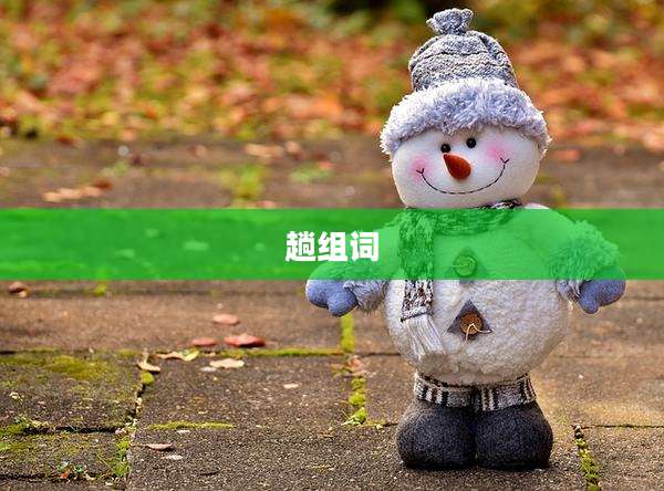 趟组词